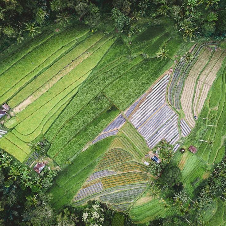Family terraces and cafés for calm evenings in Lisbon